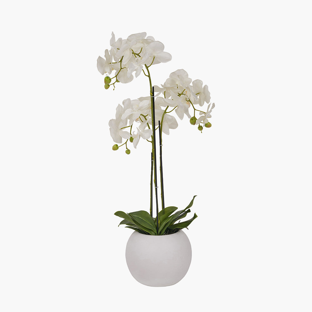 Artificial White Orchid in Pot | Medium